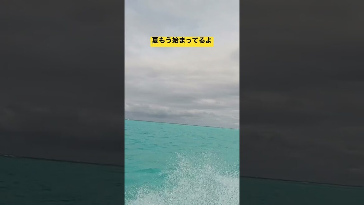 #vlog #youtube #沖縄移住 #沖縄観光 #沖縄旅行 #与論島