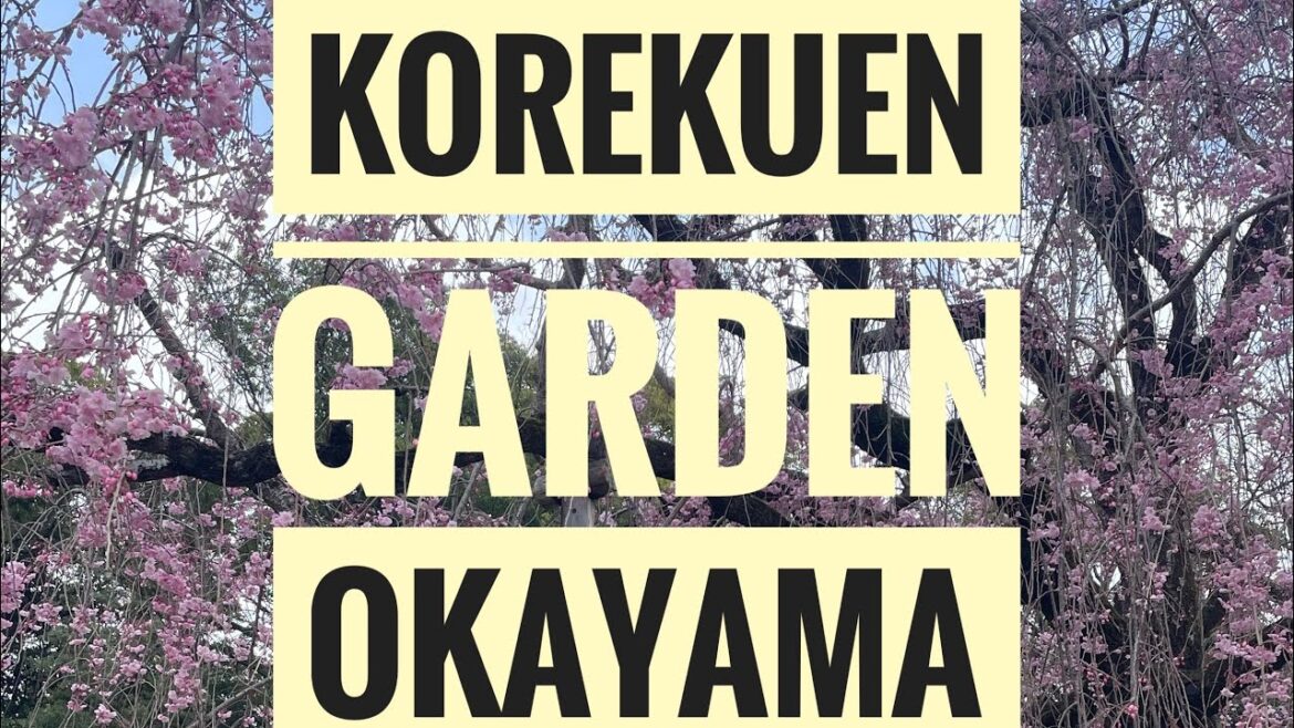 Japan series - 05 | Okayama | Korakuen Garden | Mohana Vijayan | Travel Vlog #malayalam #paistories