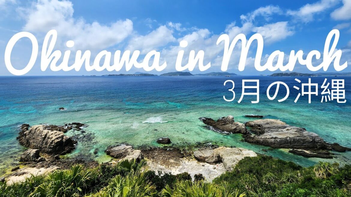 Okinawa in March | 3月の沖縄