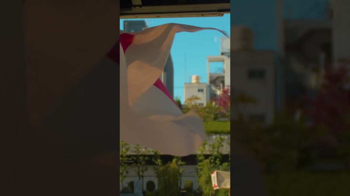 Ancient Shinto shrine in Osaka | Amazing Japan Travel Adventure Documentary