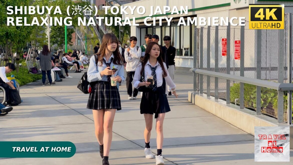 4k hdr japan travel | Walk in Shibuya (渋谷) Tokyo japan |  Relaxing Natural City ambience