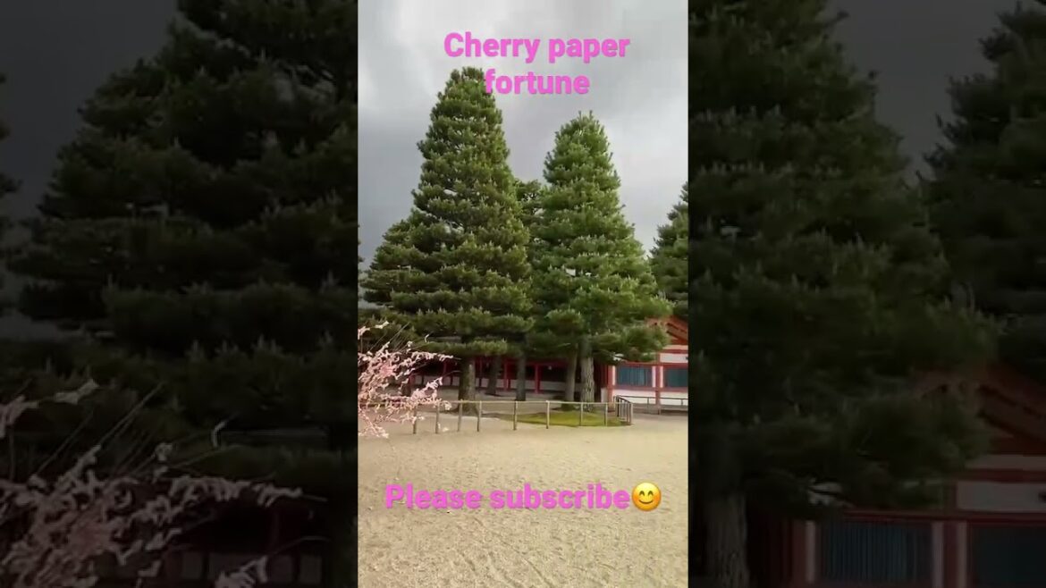 【KYOTO 】Cherry paper fortune #kyoto #shorts #japan #travel #walking #pleasesubscribe #shrine #trip
