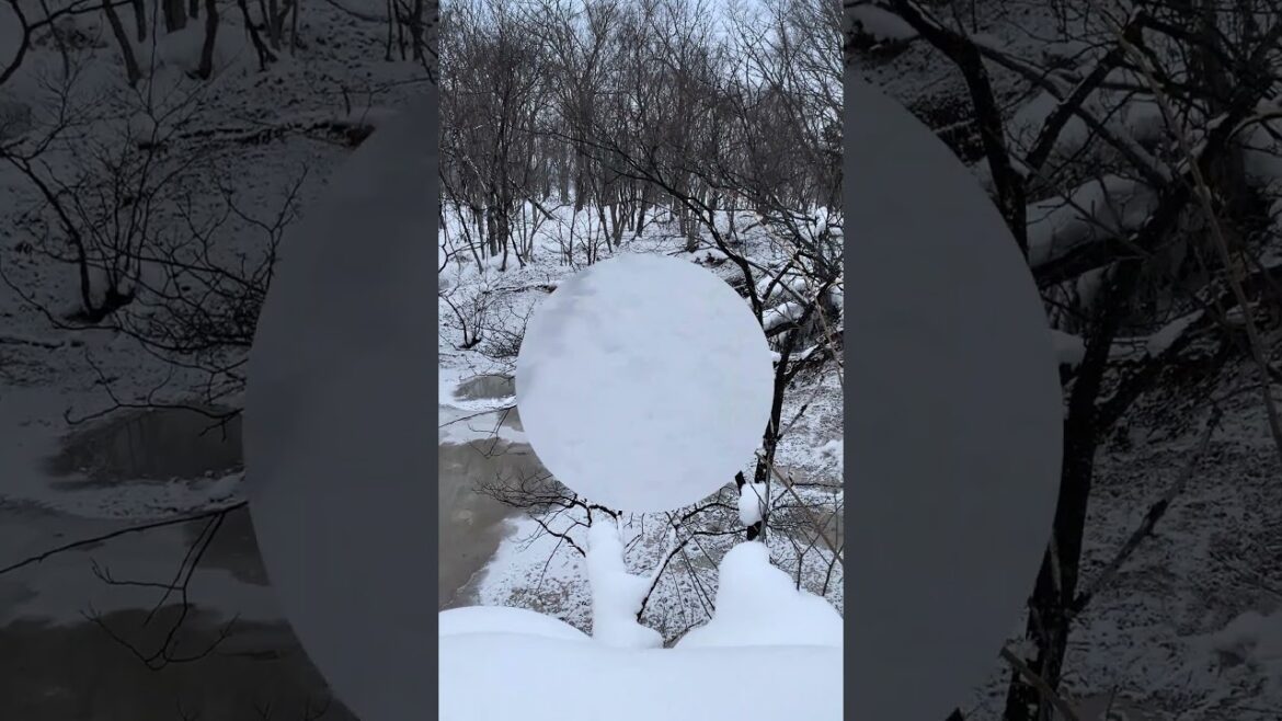 El sendero natural de Bokke (el barro volcánico) 4: Akan, Hokkaido #shorts