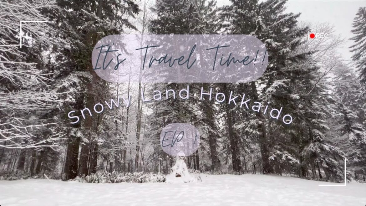 [🇯🇵北海道VLOG] 7日初遊雪國北海道 - EP 1 (聖誕市集 | 白色燈樹節 | 札幌站酒店Room tour | 星野TOMAMU渡假村滑雪場)