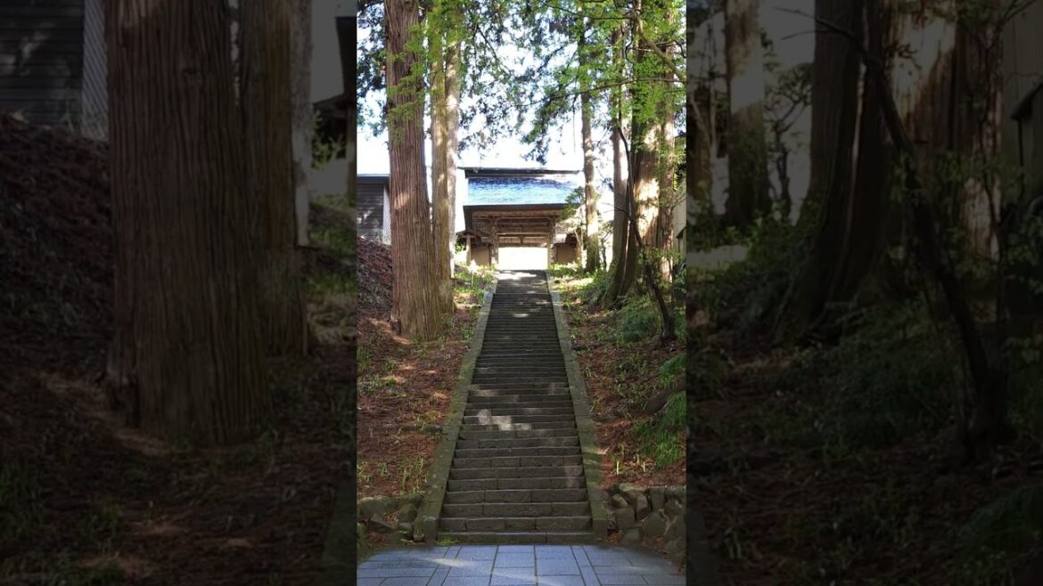 安楽寺 #長野 #nagano #japantrip #japantravel #japanesetemple