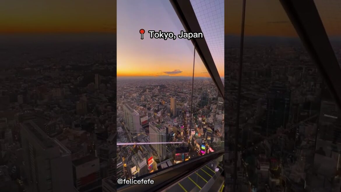 Japan has much to offer🤯🎌 #shorts #adventure #explore #nature Japan has much to offer🤯🎌 #shorts #adventure #explore #nature