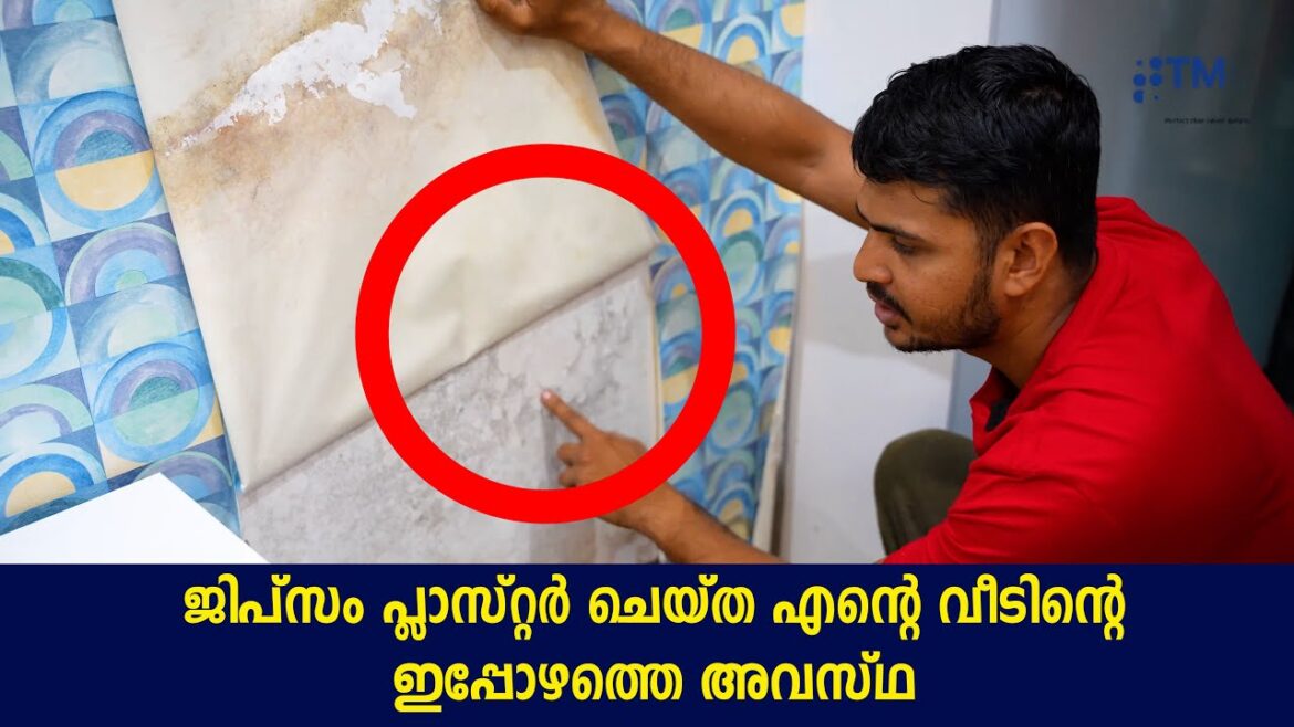 TMC GYPSUM  കൊണ്ട് ചുമർ തേച്ചതാ 2 കൊല്ലം കൊണ്ട് വീടിന്റെ അവസ്ഥ കണ്ടോ !