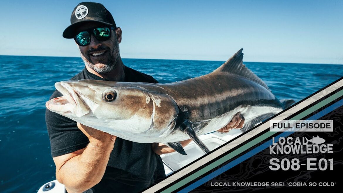 Local Knowledge S8:E1 “Cobia So Cold” Local Knowledge S8:E1 "Cobia So Cold"