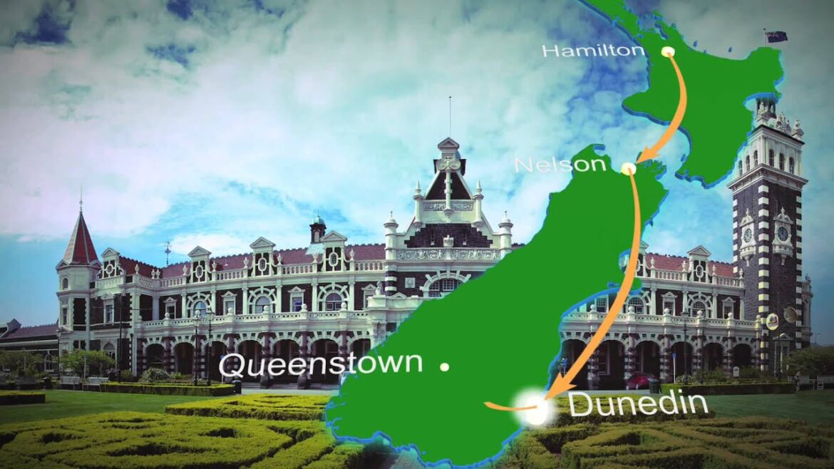 Kiwi Regional Airlines Has Arrived! #FullKiwi