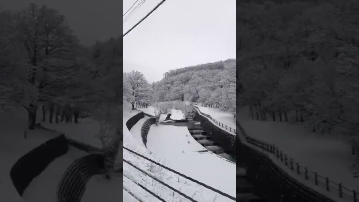 World’s Snowiest City waterfall 🤩🤩 #shorts #waterfall #viral