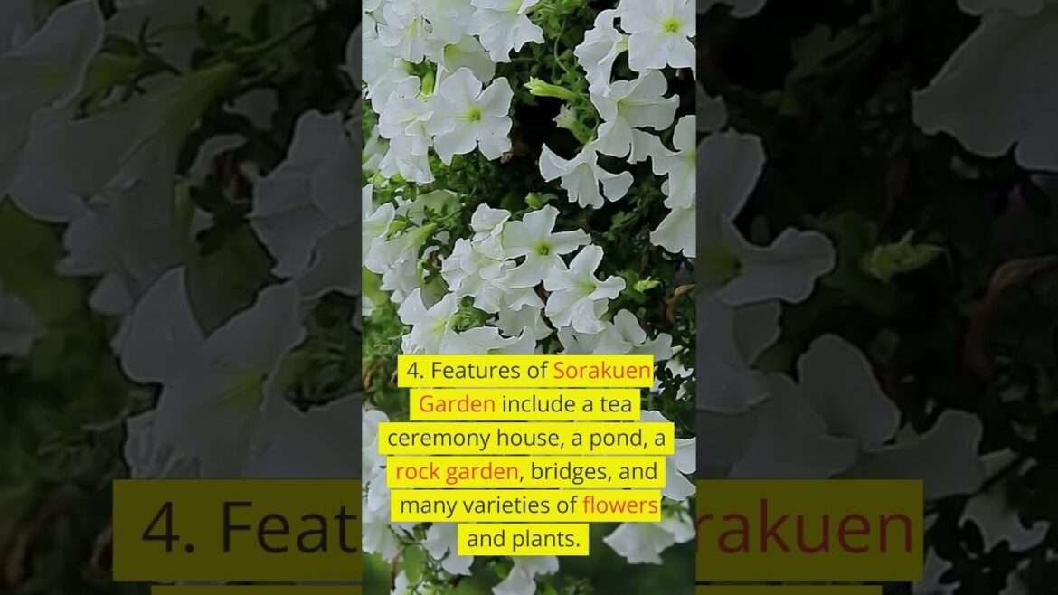 Sorakuen Garden -- KOBE CİTY