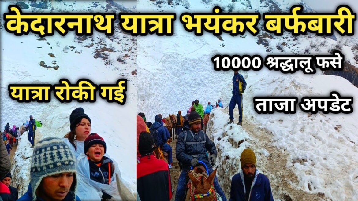 केदारनाथ यात्रा में आफत बना मौसम Kedarnath Yatra 2023 || Kedarnath Weather News || Char Dham Yatra