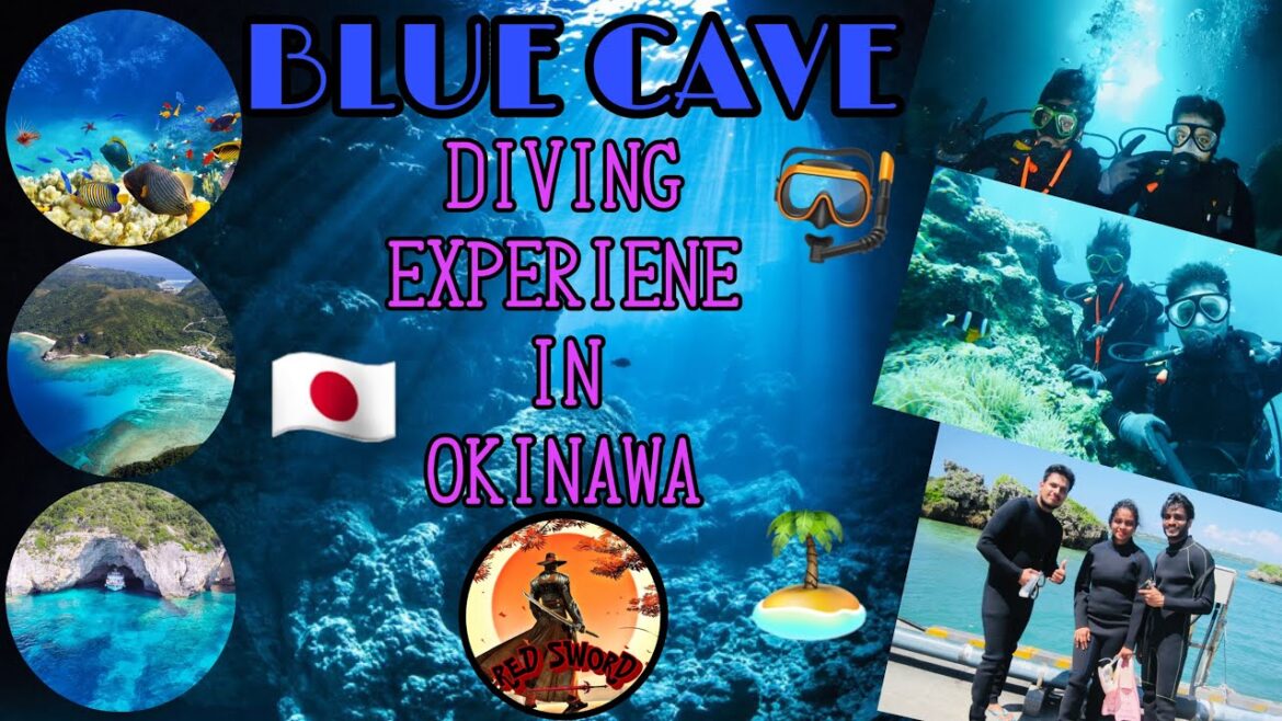 BLUE CAVE DIVING EXPERIENCE IN OKINAWA🇯🇵🏝🤿 #japan #okinawa #bluecave #diving #RED_SWORD