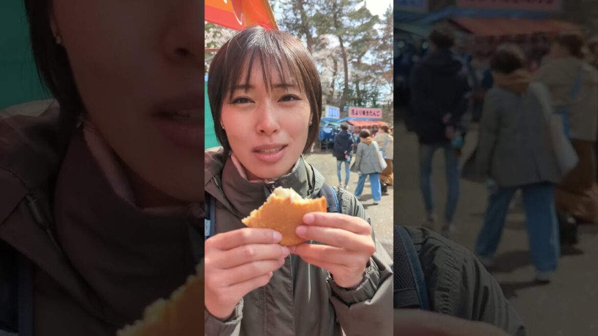 SO MUCH Street food at the Sakura Festival in Hirosaki Castle #桜 #japanesefoodstalls #sakuramatsuri