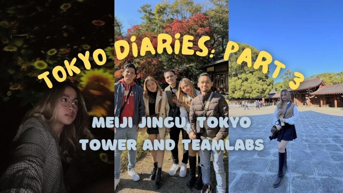 TOKYO DIARIES: Going to Teamlabs ! | Last Vlog TOKYO DIARIES: Going to Teamlabs ! | Last Vlog