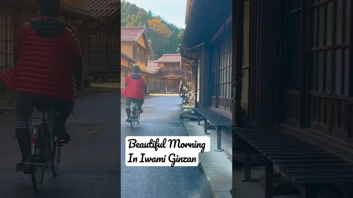Beautiful morning in Iwami Ginzan #japan #trip #morning #beautiful #oldtownroad