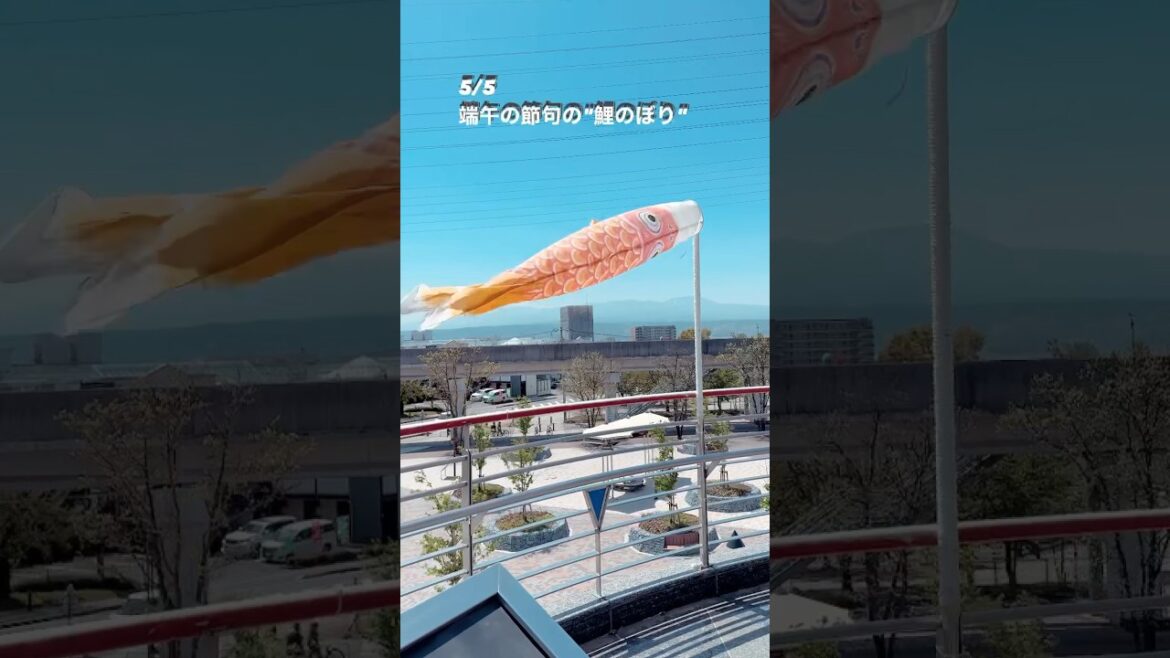 【5月の風物詩　鯉のぼり】鯉が有名な町、佐久市　長野