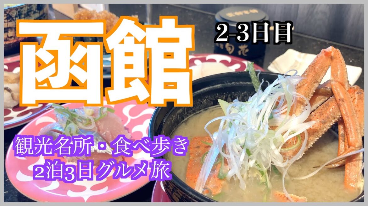 【函館旅行 その2】釣ったイカをその場でお刺身・五稜郭を眺めながらのお寿司 #北海道 #北海道旅行 【函館旅行 その2】釣ったイカをその場でお刺身・五稜郭を眺めながらのお寿司 #北海道 #北海道旅行