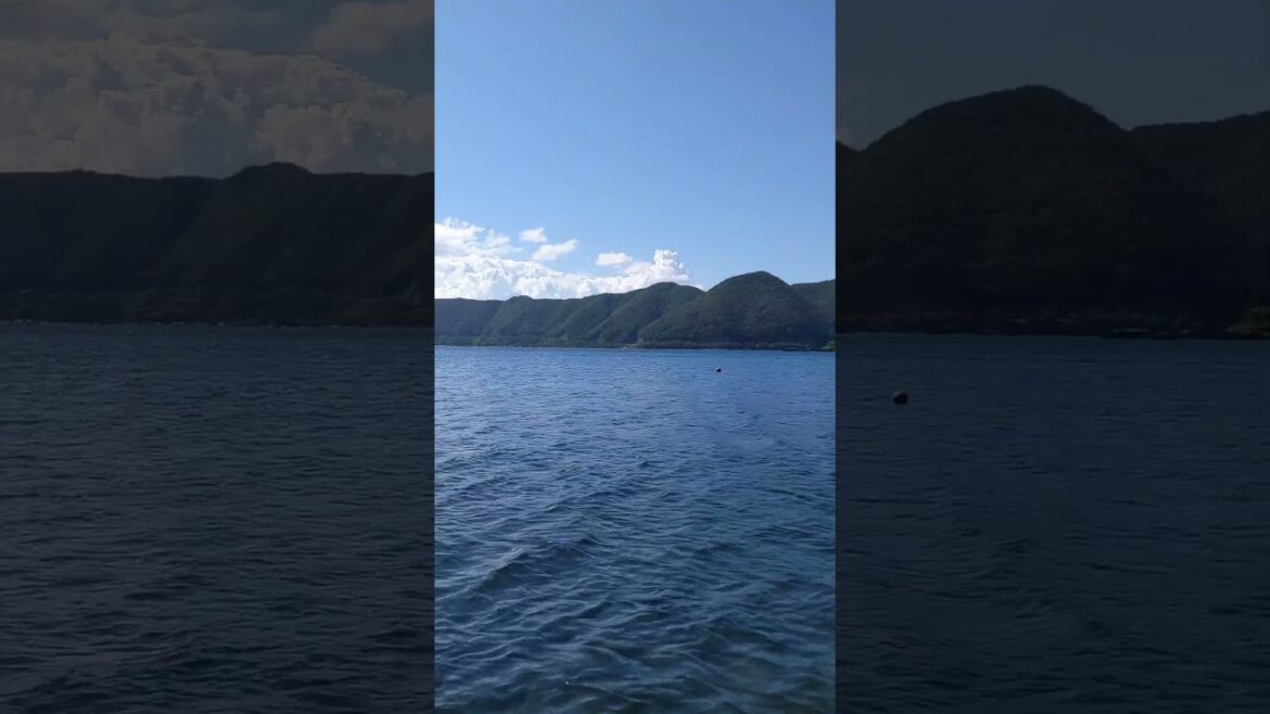 Motosuku Lake - Fuji Five Lakes #fujifivelakes  #Fujikawaguchiko Music: Views Musician: @iksonmusic