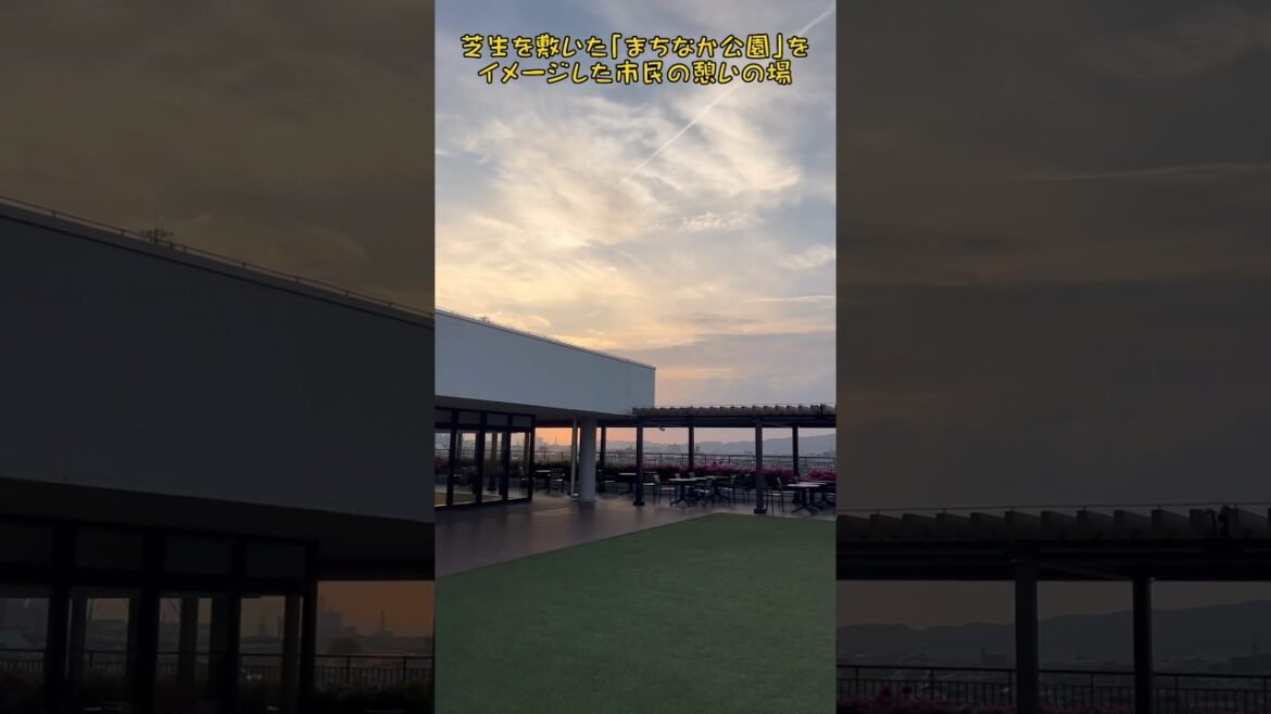 南海電鉄和歌山市駅 キーノ和歌山・の屋上テラスは、電車を見ながら利用者が飲食できて壁画がある開放的なところ/ Wakayama Trip