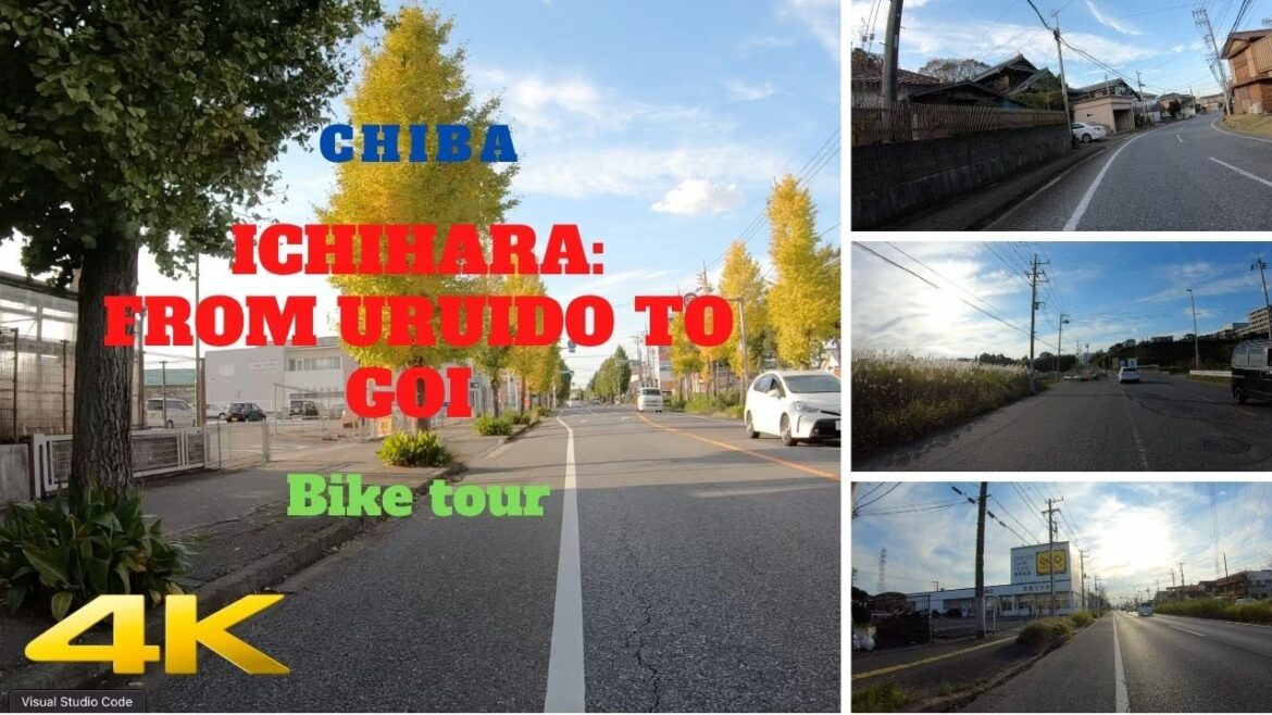 ⁴ᴷ Chiba Ichihara : From Uruido to Goi ⁴ᴷ Chiba Ichihara : From Uruido to Goi