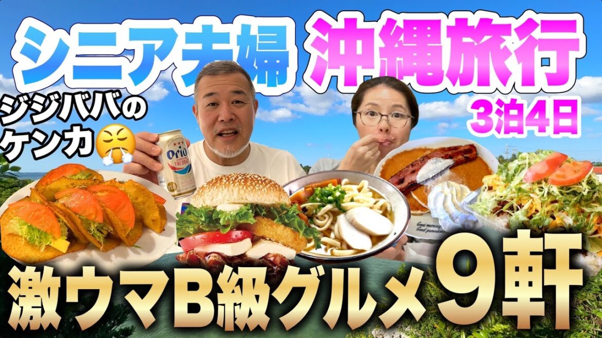 沖縄旅行20,940円格安ツアーで行くB級グルメ旅シニア夫婦3泊4日夫婦喧嘩勃発💢ANAトラベラース2022年12月 沖縄旅行20,940円格安ツアーで行くB級グルメ旅シニア夫婦3泊4日夫婦喧嘩勃発💢ANAトラベラース2022年12月