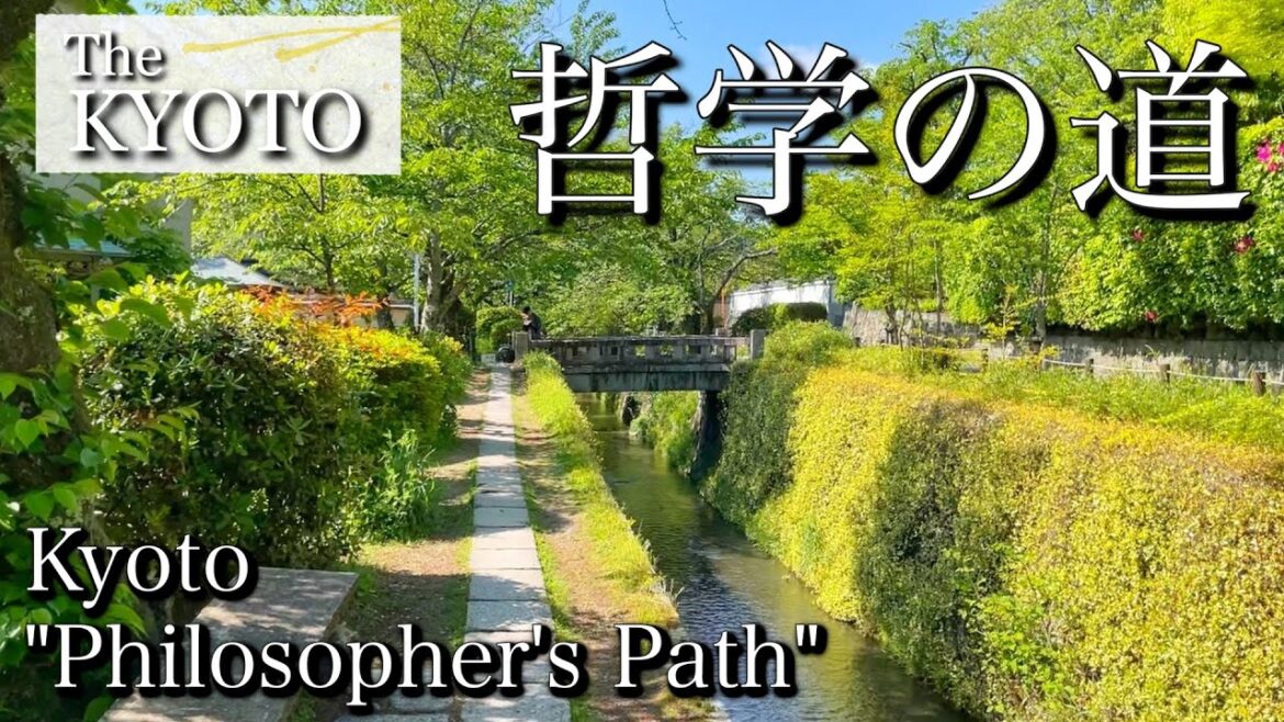 [京都|Kyoto]"哲学の道"を散策、永観堂周辺から銀閣寺まで全て歩く｜"Philosopher's Path", Walking tour in Kyoto(Vlog)