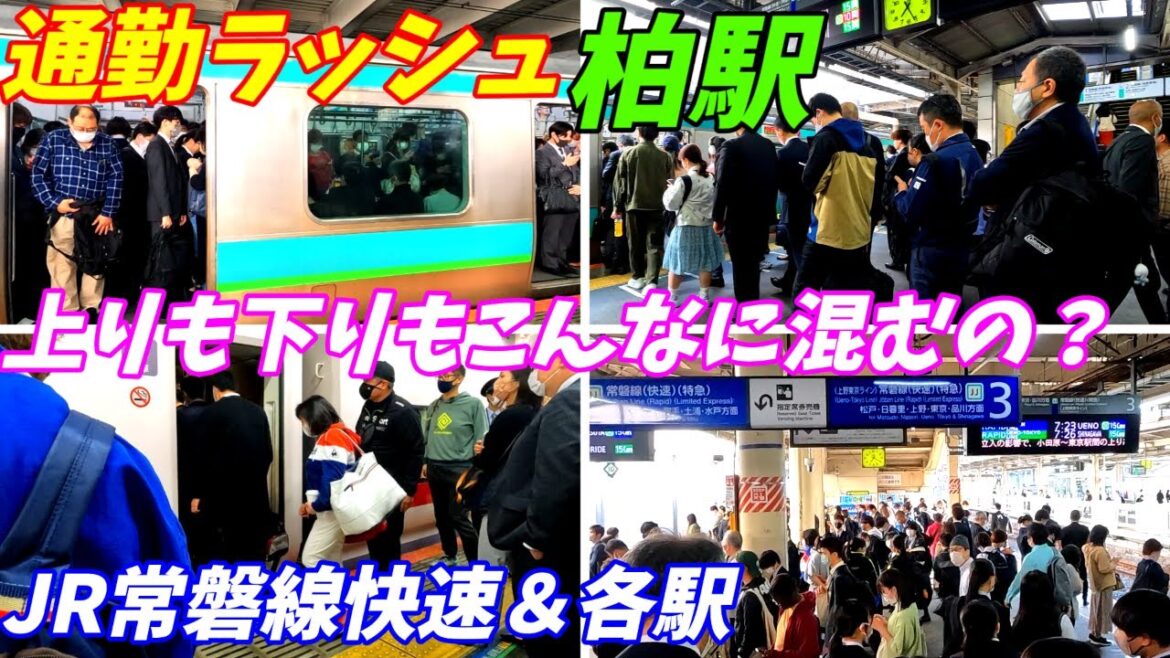 【新年度で激混み】JR常磐線柏駅の通勤ラッシュ!【下りも学生で混む!】松戸駅も少しあり! 千葉県柏市 【新年度で激混み】JR常磐線柏駅の通勤ラッシュ!【下りも学生で混む!】松戸駅も少しあり! 千葉県柏市
