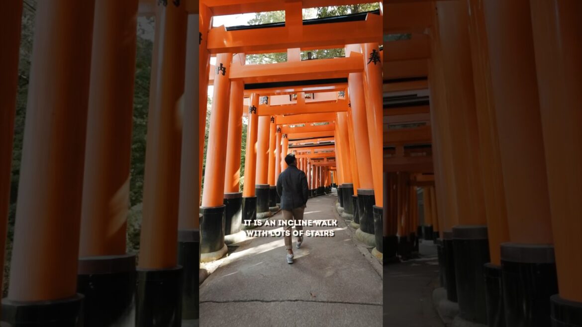 The RED Torii gates of Fushimi Inari Taisha