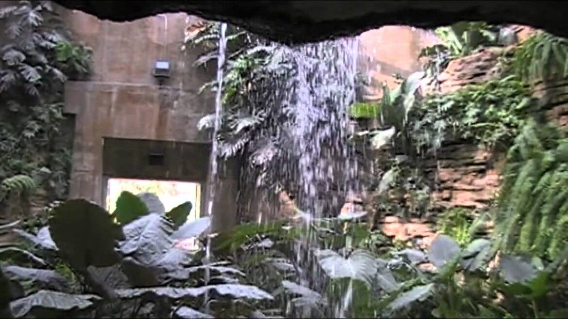 San Antonio Local-Botanical Gardens