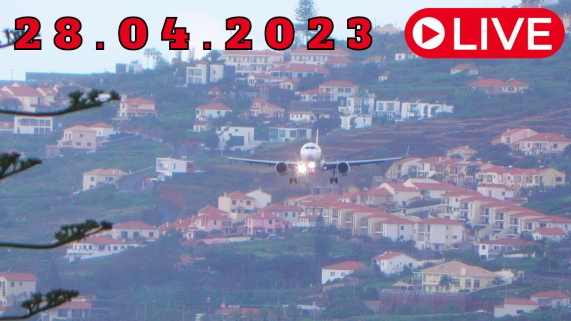 LIVE Action from Madeira Airport 28.04.2023