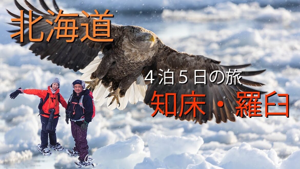 【 北海道・羅臼 】アラフィフ夫婦が行く4泊5日の旅① 【 北海道・羅臼 】アラフィフ夫婦が行く4泊5日の旅①