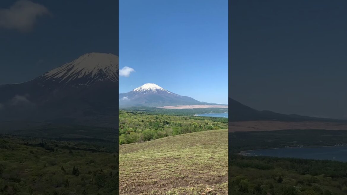 富士山と山中湖