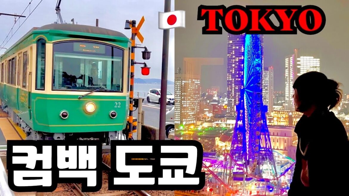 우당탕탕 우중 도쿄 컴백 나한테 왜 이러니 🇯🇵EP-09 vlog