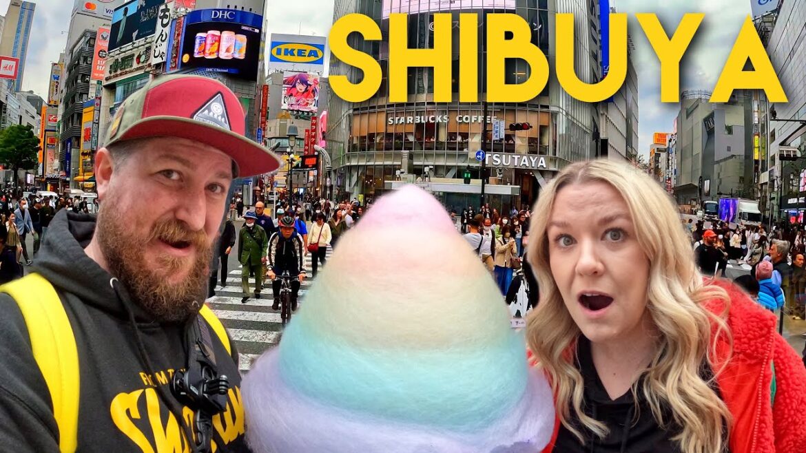 Tokyo Travel Vlog Sushi and Shibuya