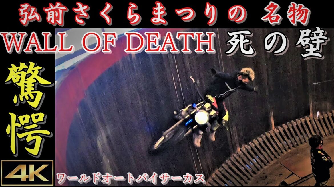 命がけの挑戦！弘前さくらまつりの【WALL OF DEATH】を今年は動画で体験せよ！ Life-threatening challenge!