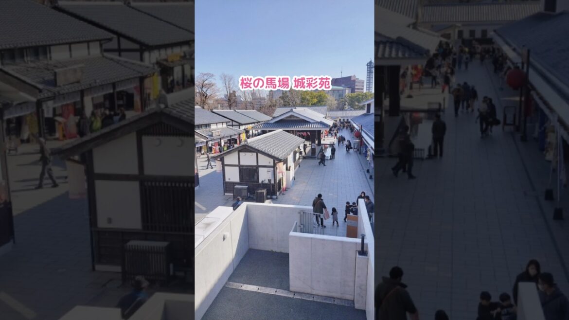 熊本名物を食べるならココ！映えること間違いなし！ #熊本グルメ #shorts