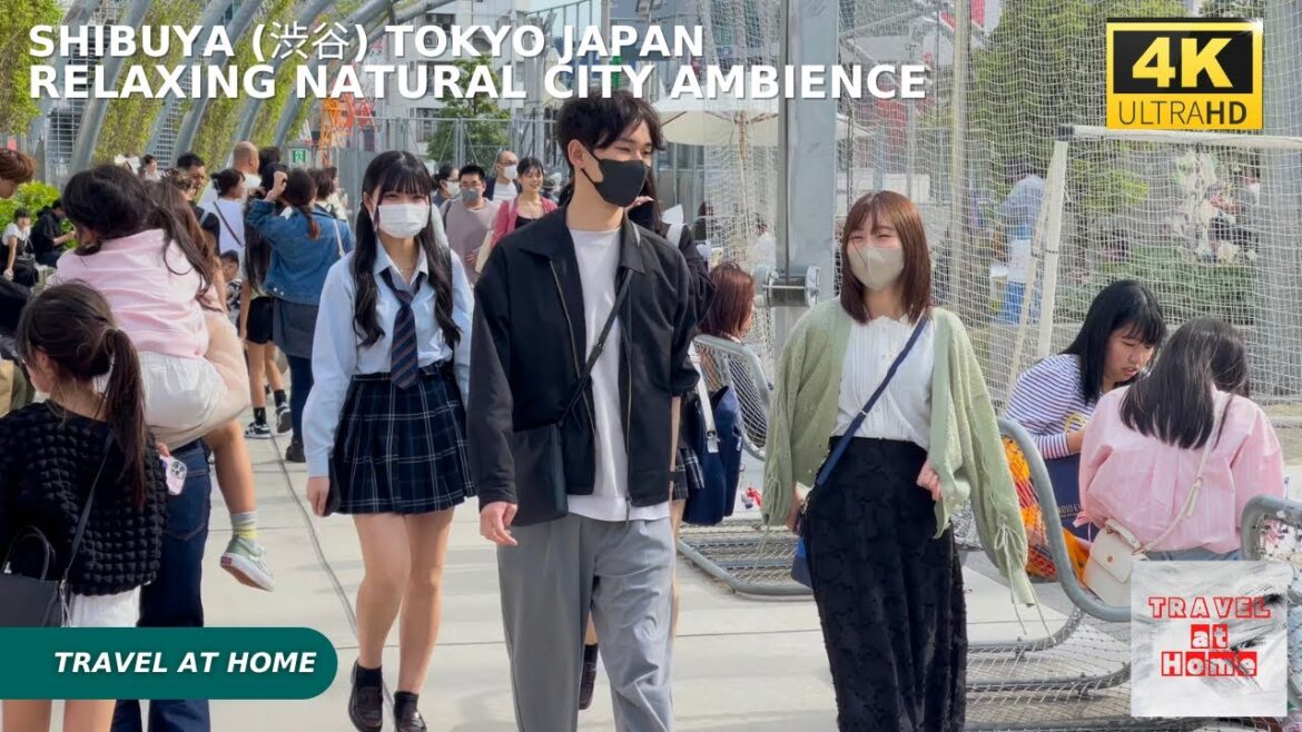 4k hdr japan travel | Walk in Shibuya (渋谷) Tokyo japan |  Relaxing Natural City ambience