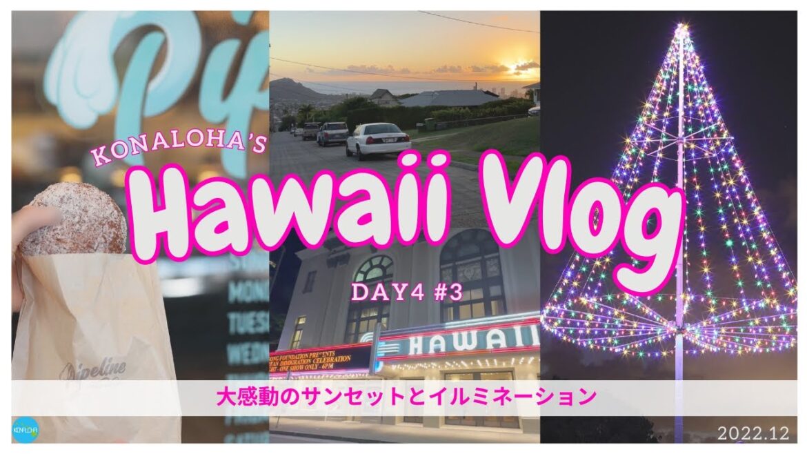 【ハワイ旅行】ハワイ旅行DAY4-3｜Sweet Brown Hawaii｜カイムキ巡り｜Wilhelmina Rise｜プウオカイムキミニパーク｜アロハタワー｜ハワイシアター｜ホノルルシティライツ｜