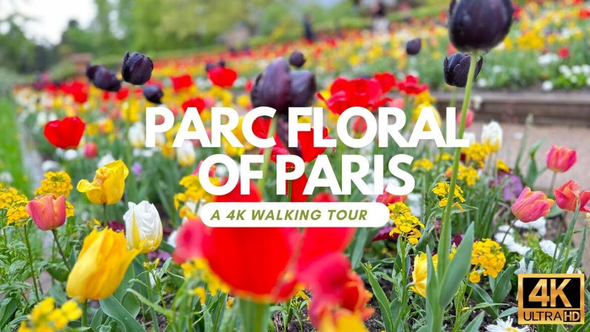 A walk in Parc Floral de Paris 2023  l Vincennes Paris l 4K HDR 🇫🇷