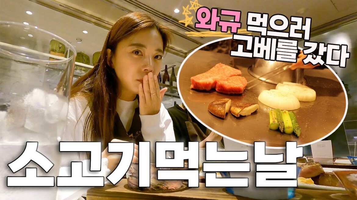 90일간의 일본일주 중 3대 와규 먹으러 고베간날,  소고기 먹는 날 | 일본 ep15