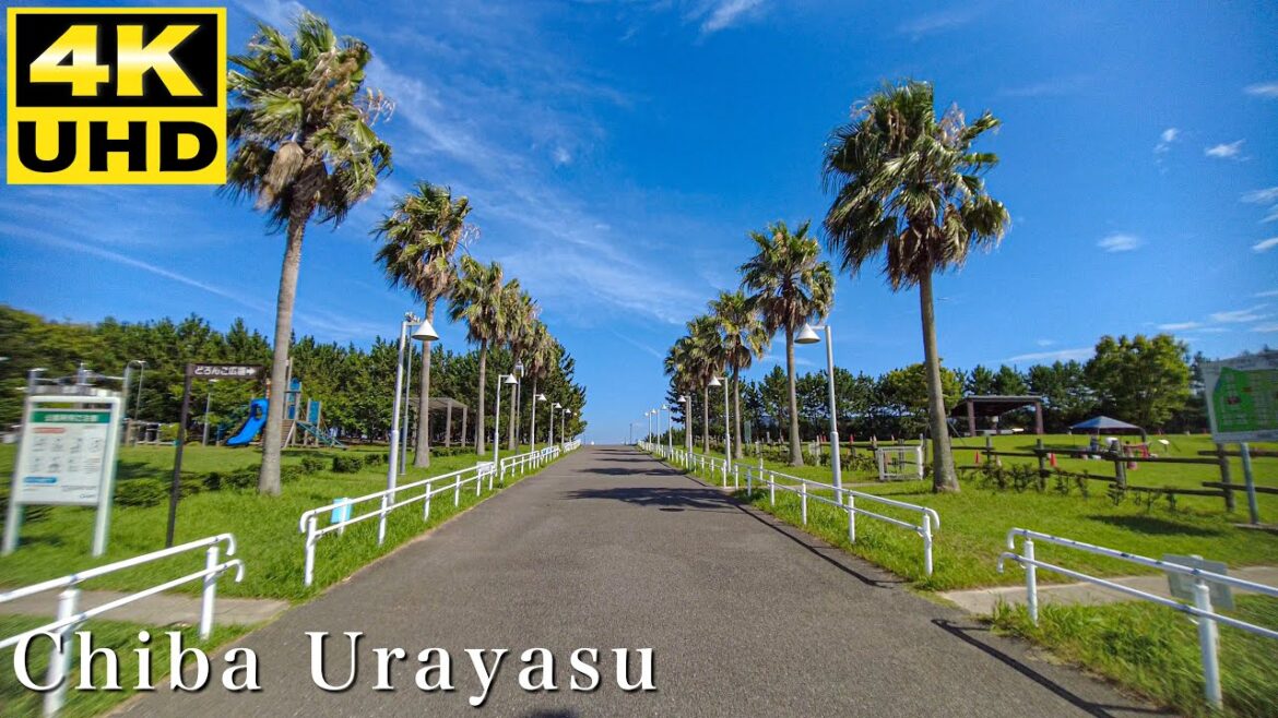 【4K】Walk in Urayasu Comprehensive Park, Chiba Prefecture 千葉県浦安市総合公園を散歩 – Japan Tourism #ASMR #CHIBA 【4K】Walk in Urayasu Comprehensive Park, Chiba Prefecture 千葉県浦安市総合公園を散歩 - Japan Tourism #ASMR #CHIBA