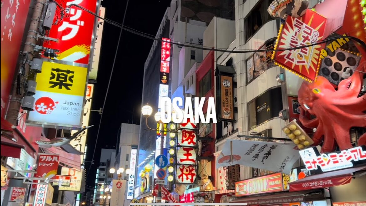 Osaka, Japan Vlog 🇯🇵🍡🍣🈲 Osaka, Japan Vlog 🇯🇵🍡🍣🈲