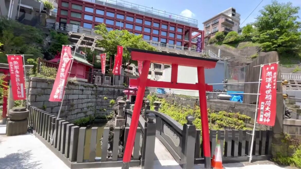 Tortoise pond Shinto Shrine Yokohama