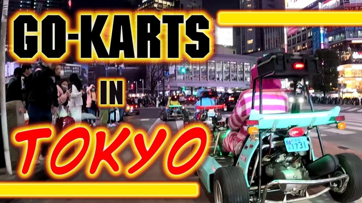 GoKart Tour in Tokyo Japan – DawgStrip GoKart Tour in Tokyo Japan - DawgStrip