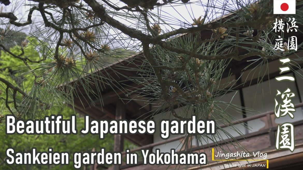 【travel tips】 Explore the hidden charms of Sankeien #Garden in Yokohama,JAPAN（三渓園の隠れた魅力を探る）