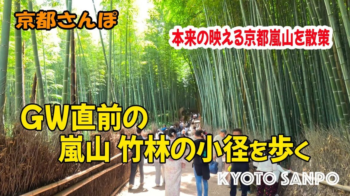 [京都お散歩4K] 2023/4/28 外国人と修学旅行 本来の京都の光景 GW直前に嵐山 竹林の小径を歩く 新緑さんぽ kyoto