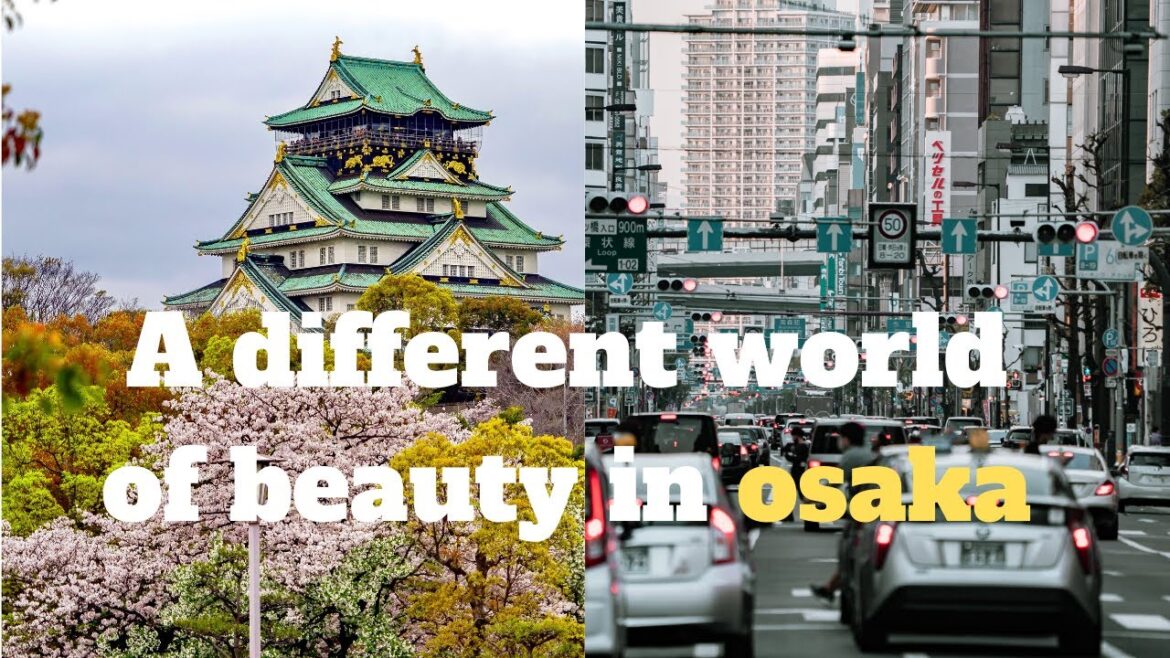 japan vlog - travel vlog - Osaka, another world of fantasy