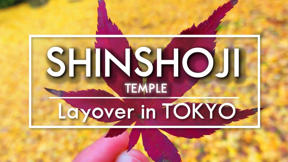 Tokyo Layover | Shinshoji Temple In Narita Tokyo Layover | Shinshoji Temple In Narita