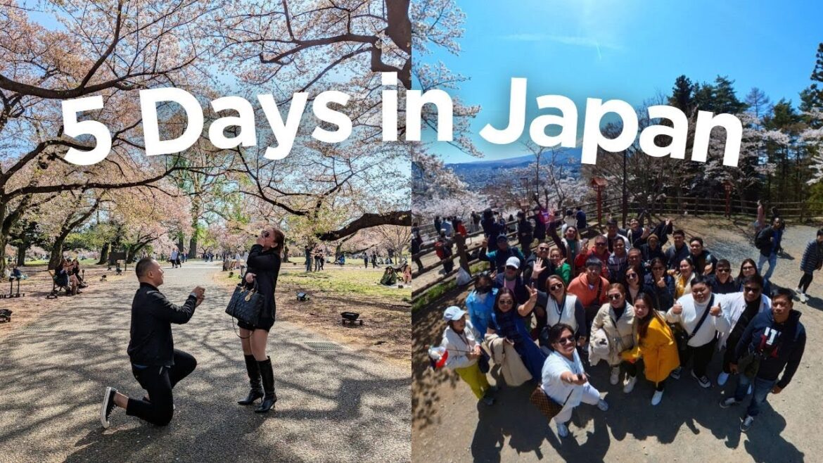 Proposing under Cherry Blossoms🌸 Family Vacation in Tokyo, Japan🗼